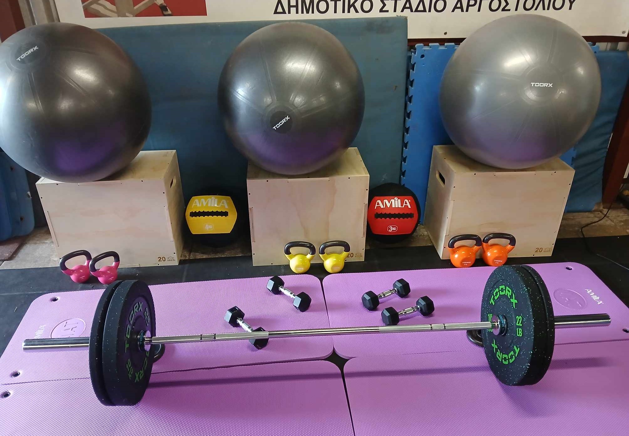 gym4