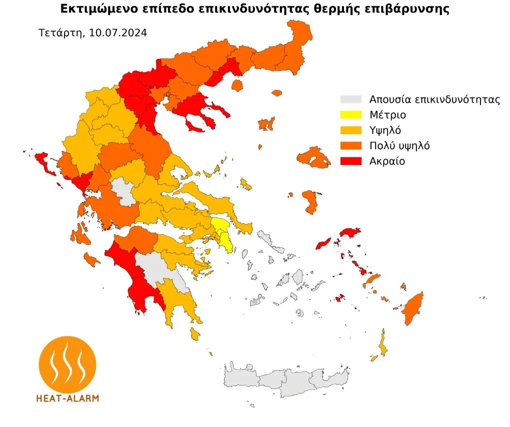 xartis zesti