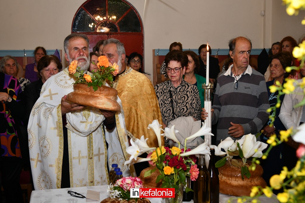 IMG 7964