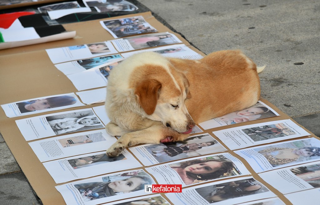 MarchtoGaza kefalonia30
