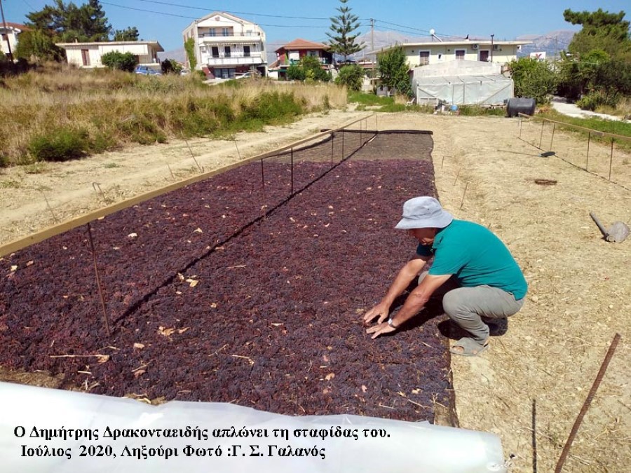 ioulios 3