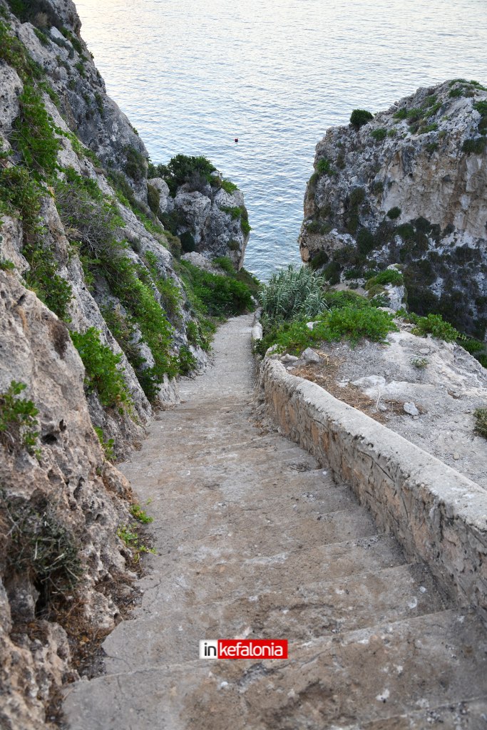 DSC 4911