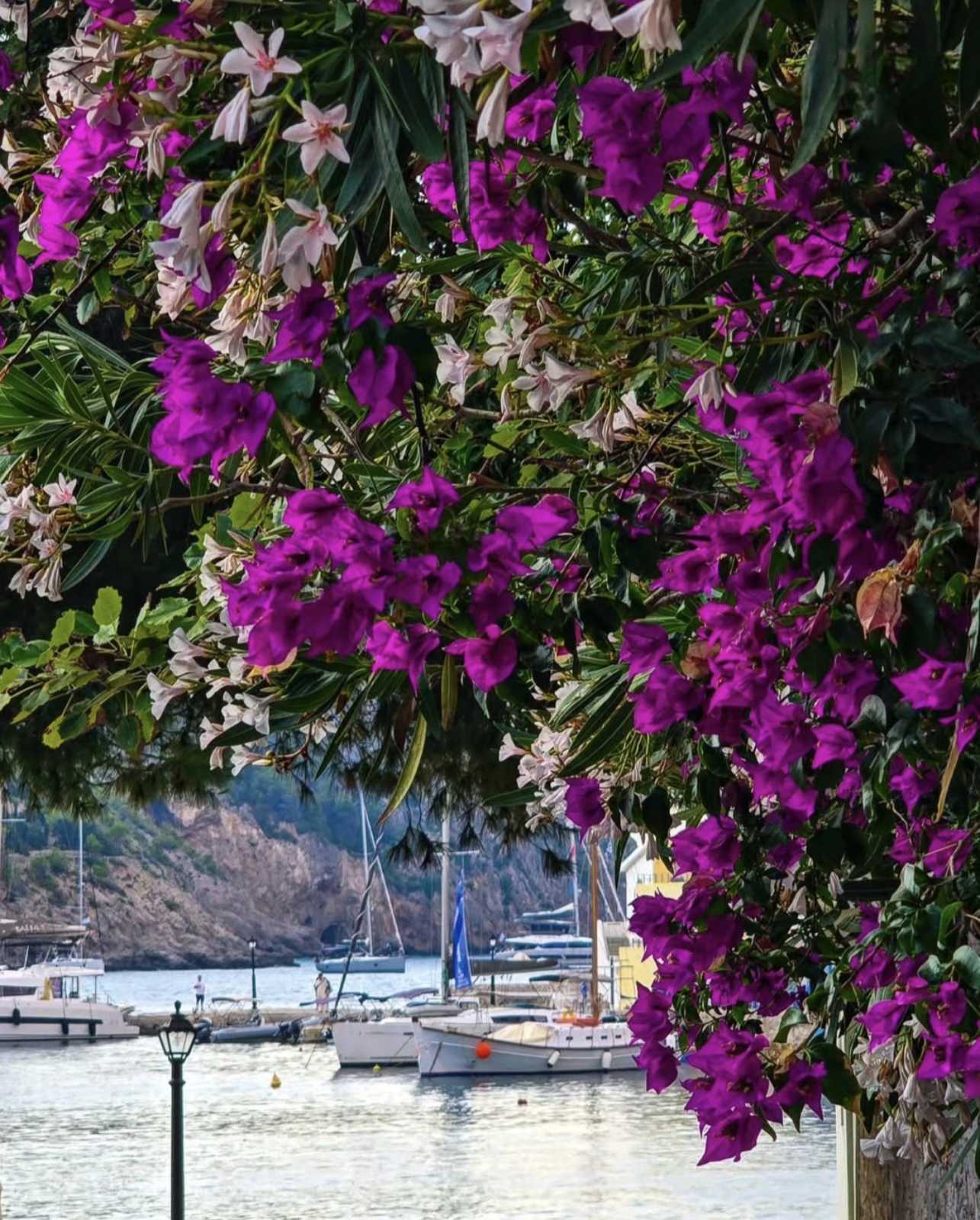 εικόνα Viber 2025 06 26 18 39 09 849