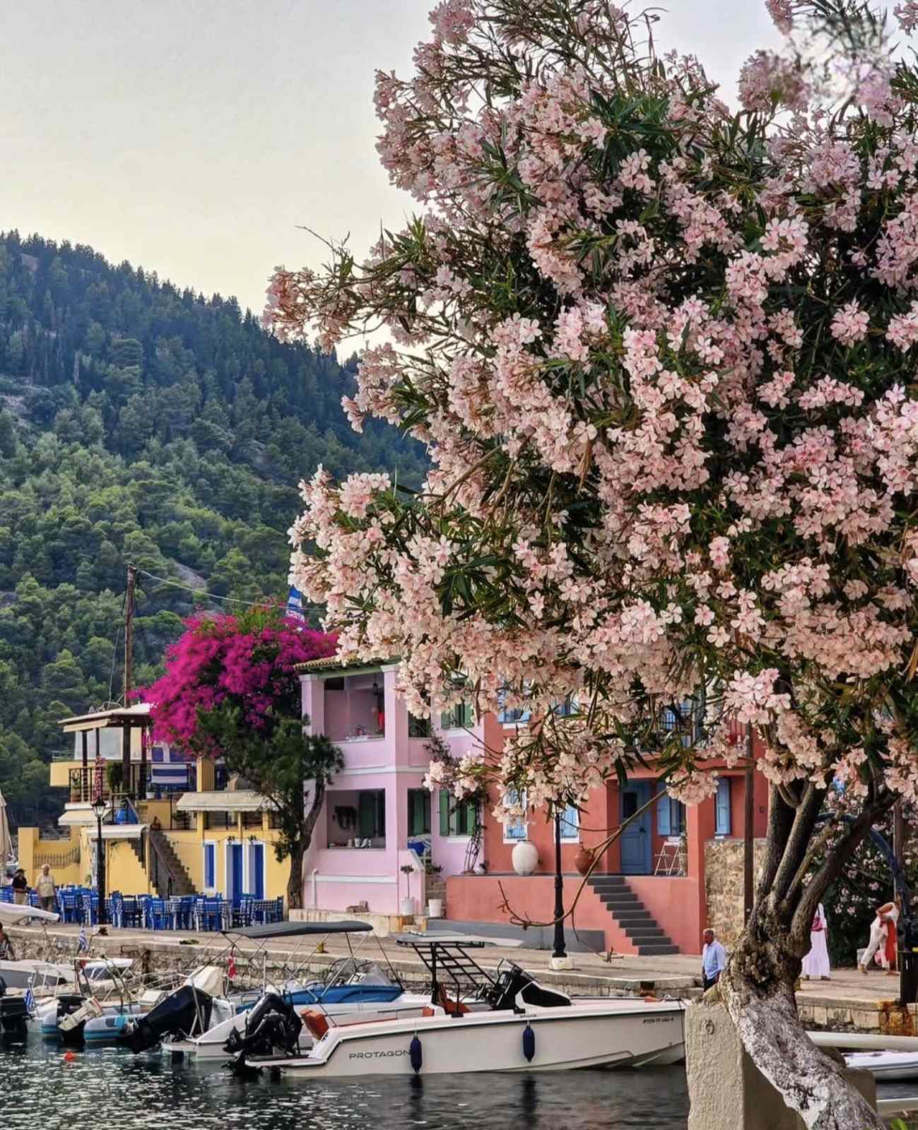 εικόνα Viber 2025 06 26 18 39 13 631