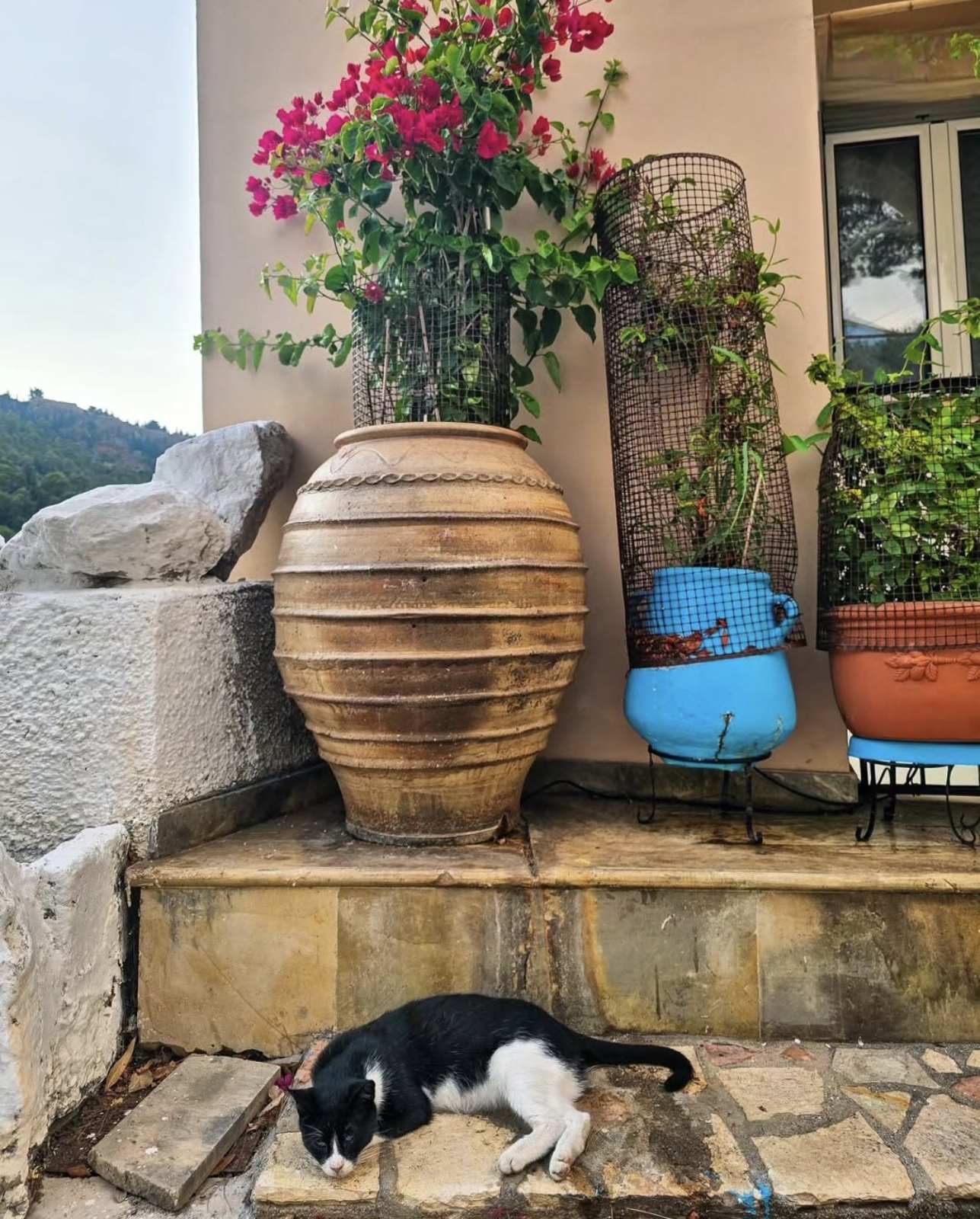 εικόνα Viber 2025 06 26 18 39 31 252