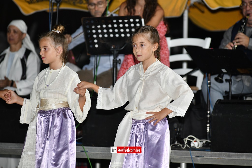 DSC 8446