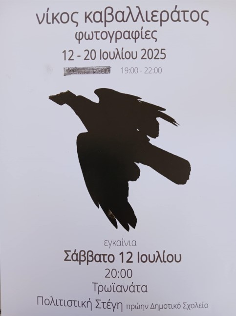 Στιγμιότυπο οθόνης 2025 07 08 135310