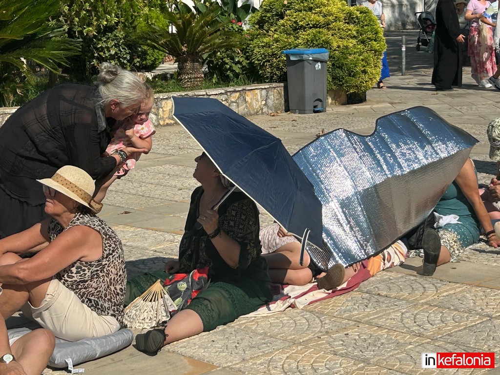IMG 2655
