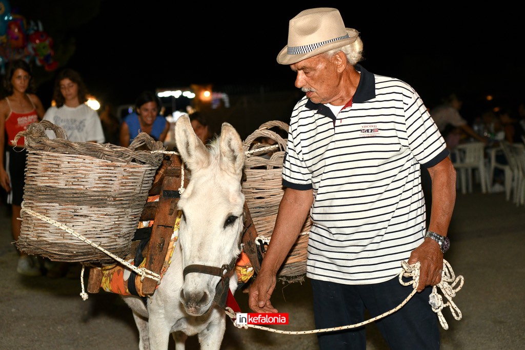 DSC 6979