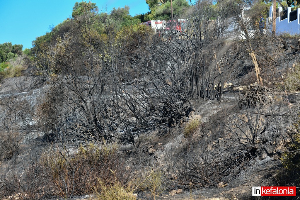 DSC 4577