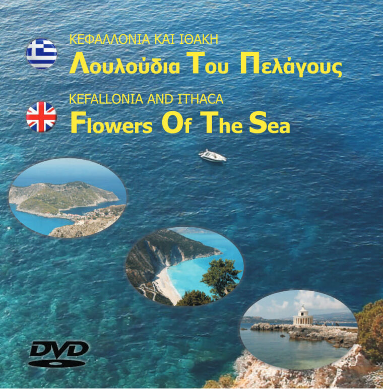 250927 FLOWER OF THE SEA