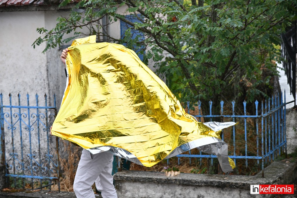 DSC 0096