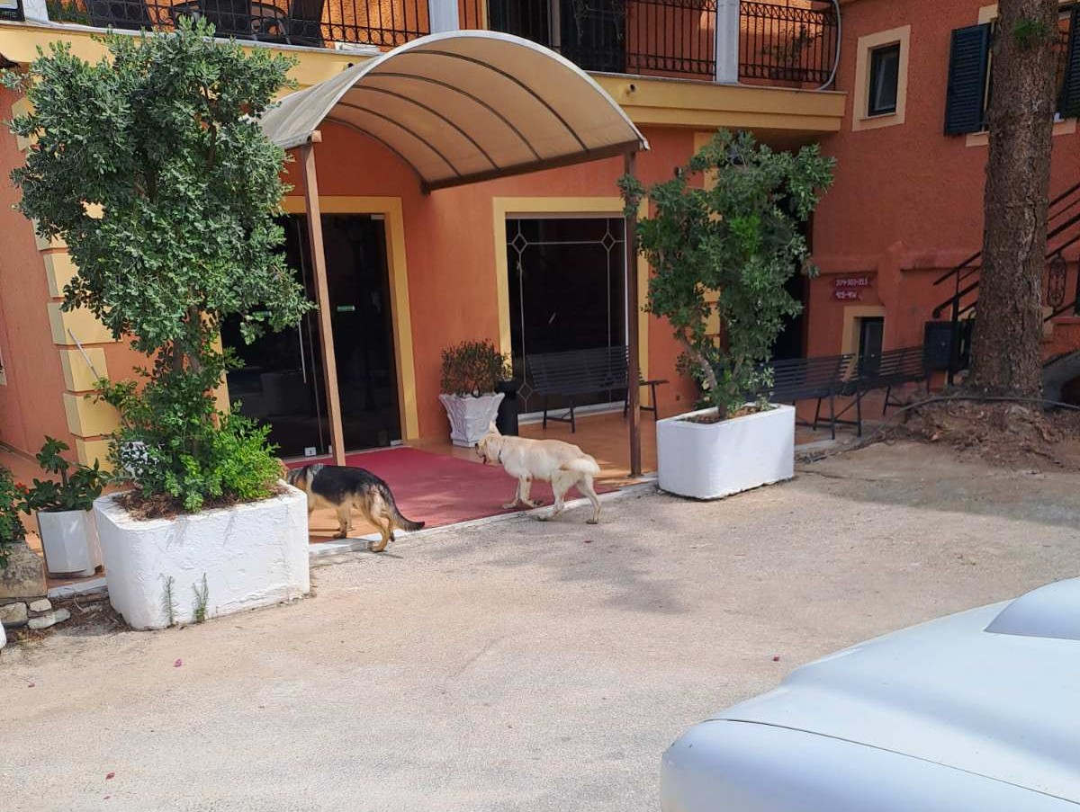εικόνα Viber 2025 09 17 14 29 13 660
