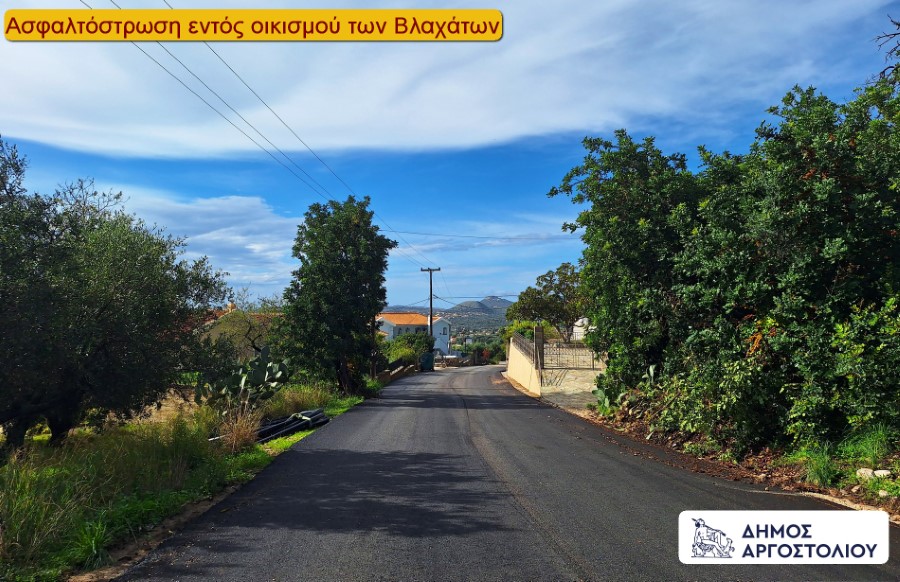 573027889 122175357836548016 7289722462044422752 n