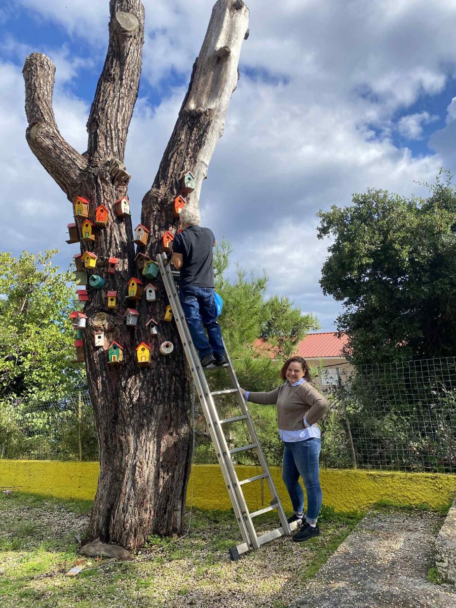 FB IMG 1762855379769