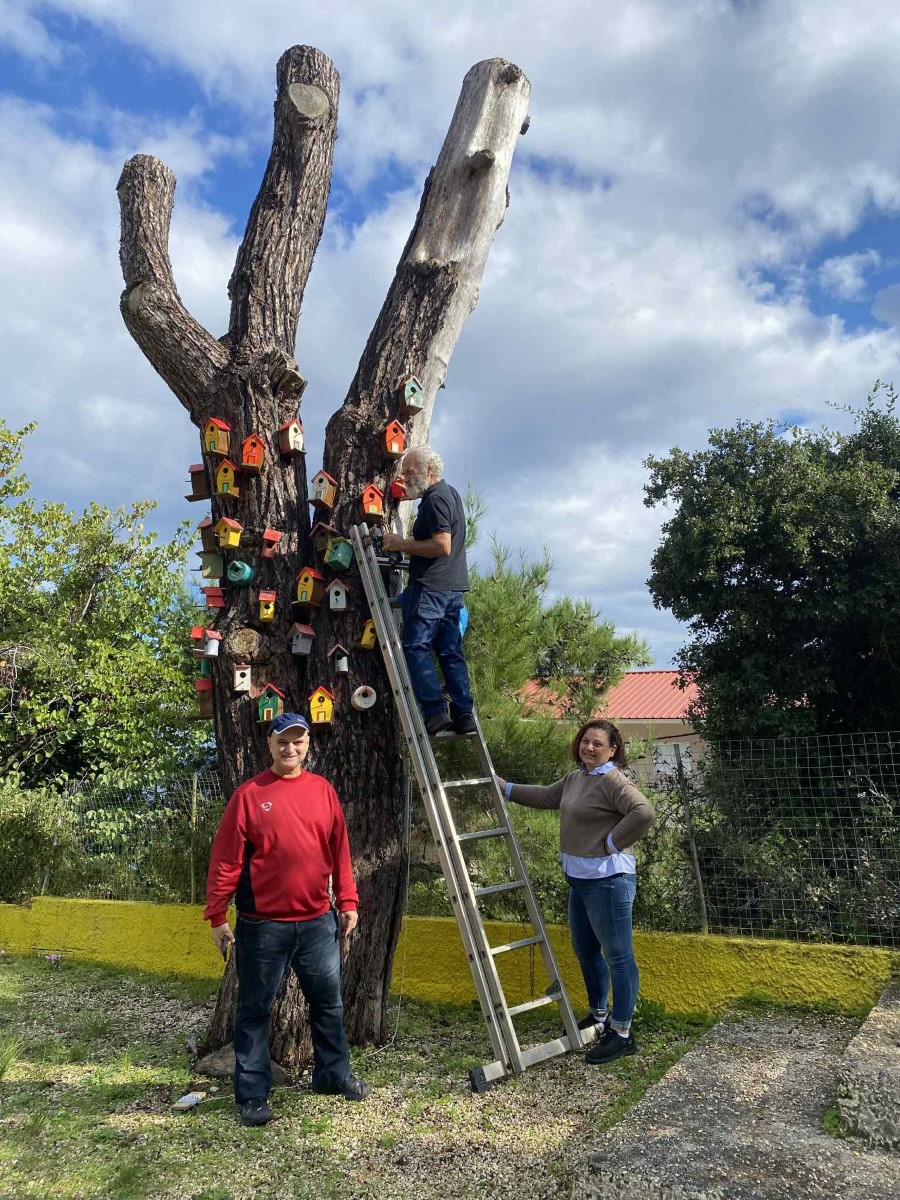 FB IMG 1762855382701