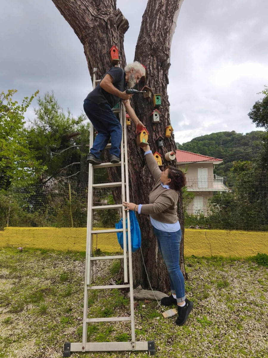 FB IMG 1762855389320