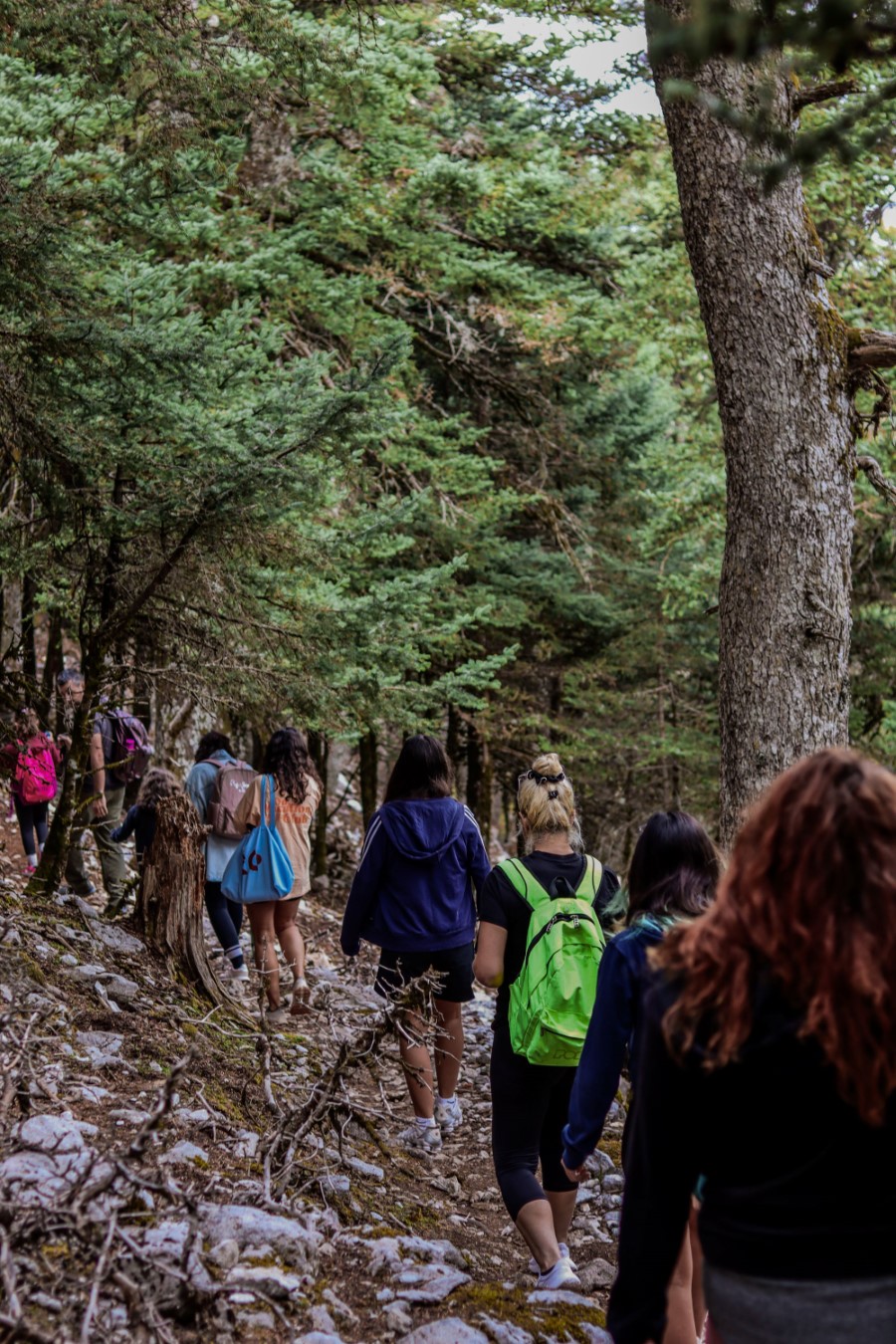 Hiking 1