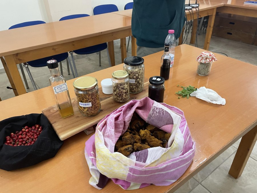 0b5a8193 202e 48af a566 b597816dc653