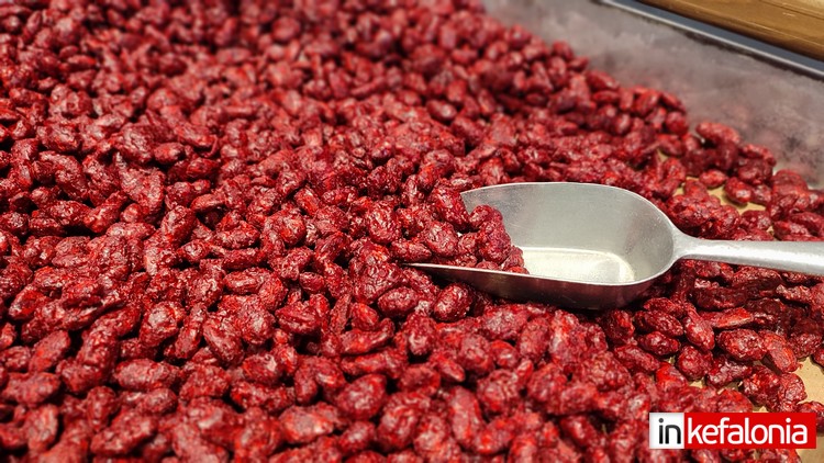 εικόνα Viber 2025 12 18 20 05 45 190