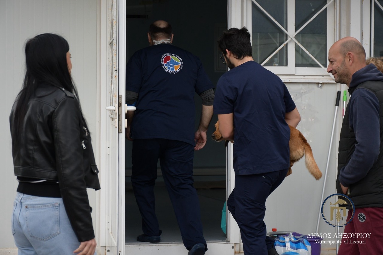 stiroseis adespota lixouri10