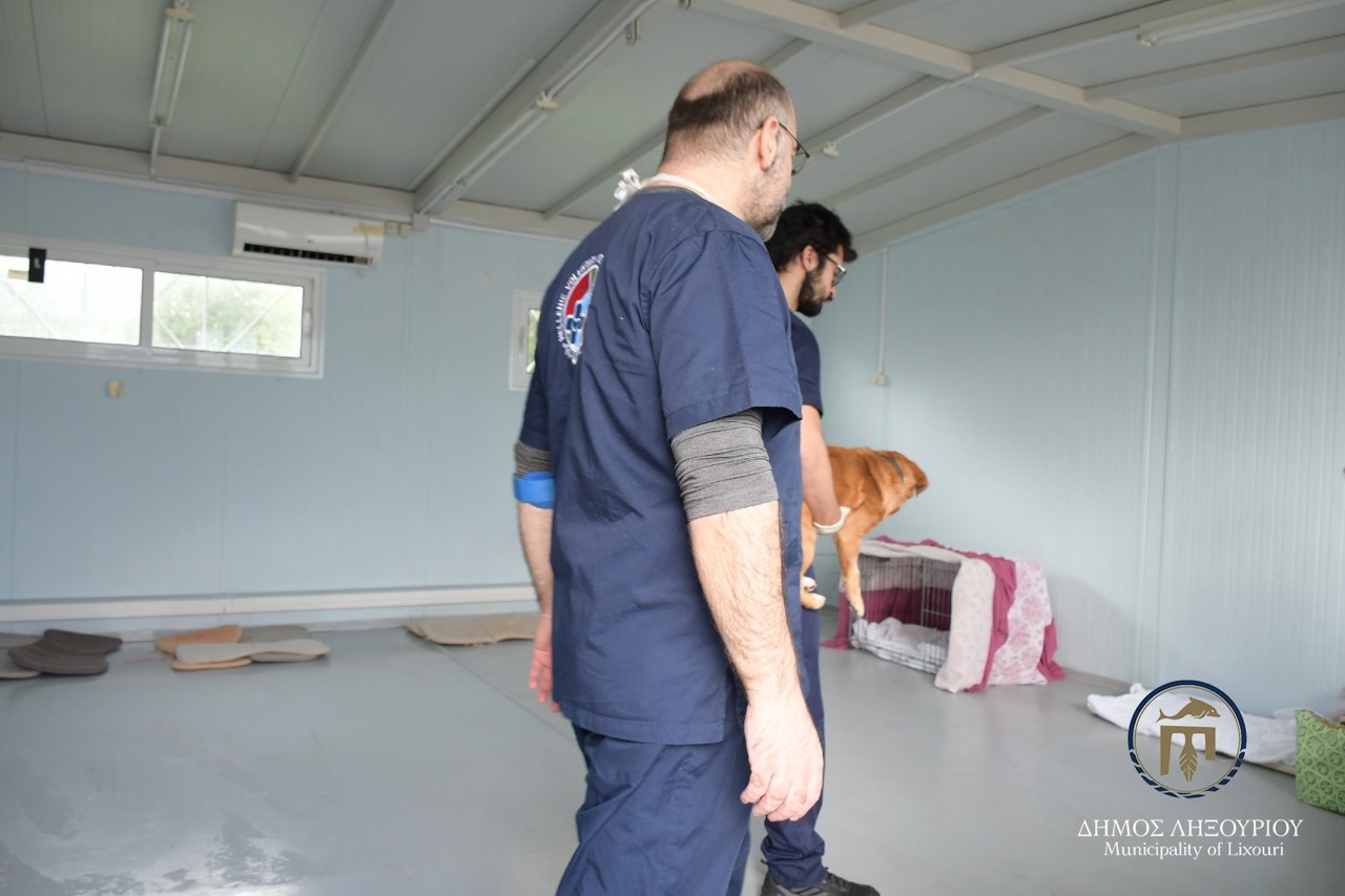 stiroseis adespota lixouri11