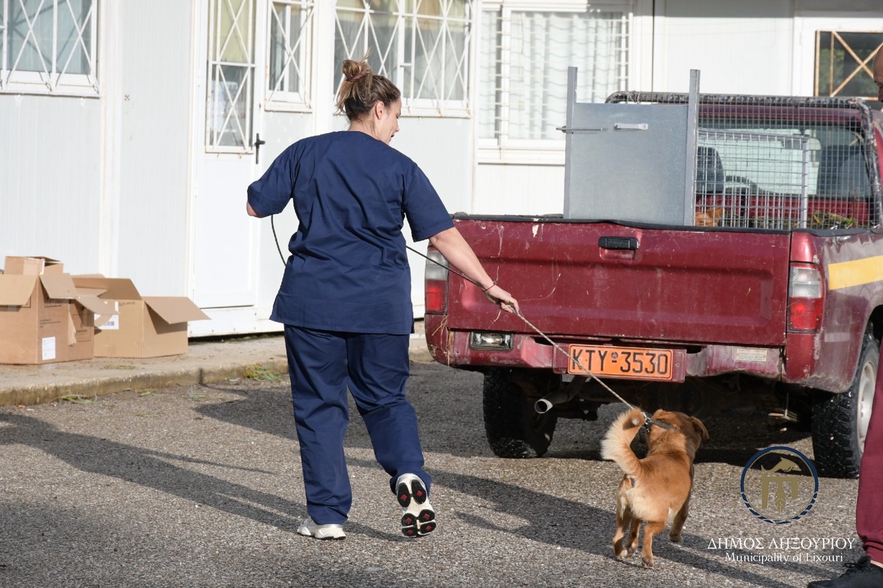 stiroseis adespota lixouri4