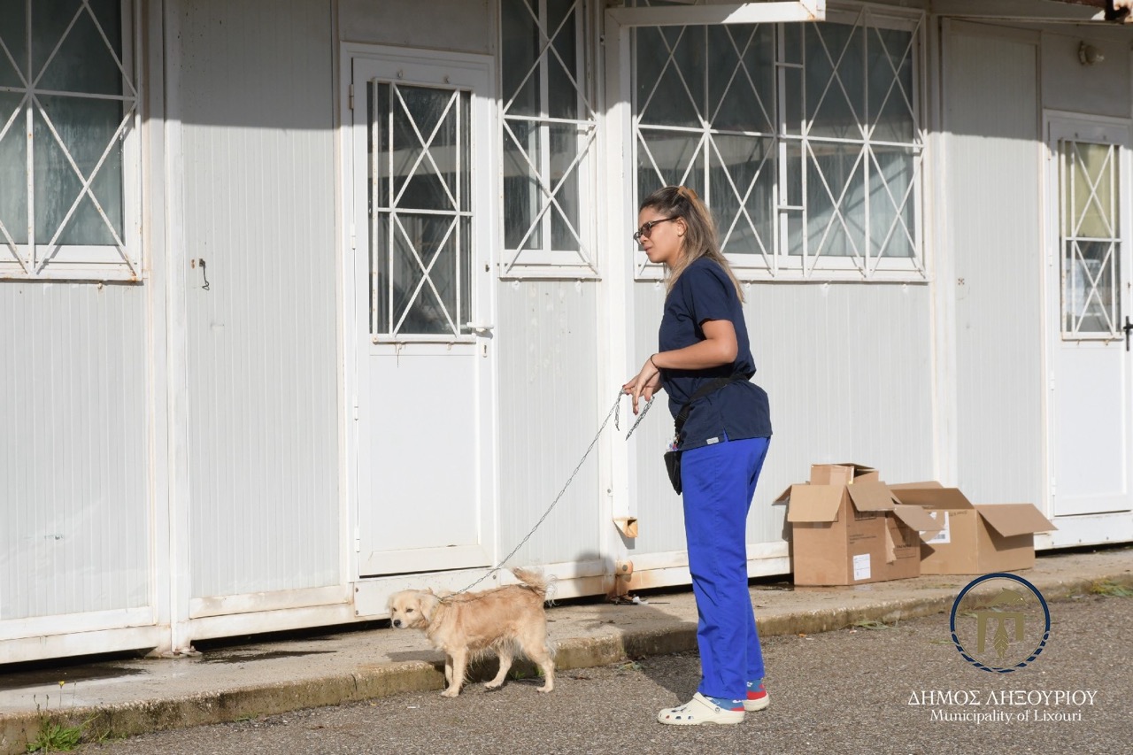 stiroseis adespota lixouri9