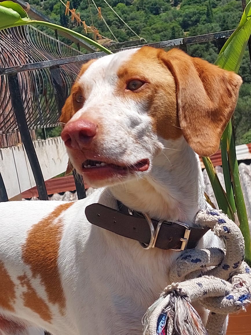 Χωρίς τίτλο