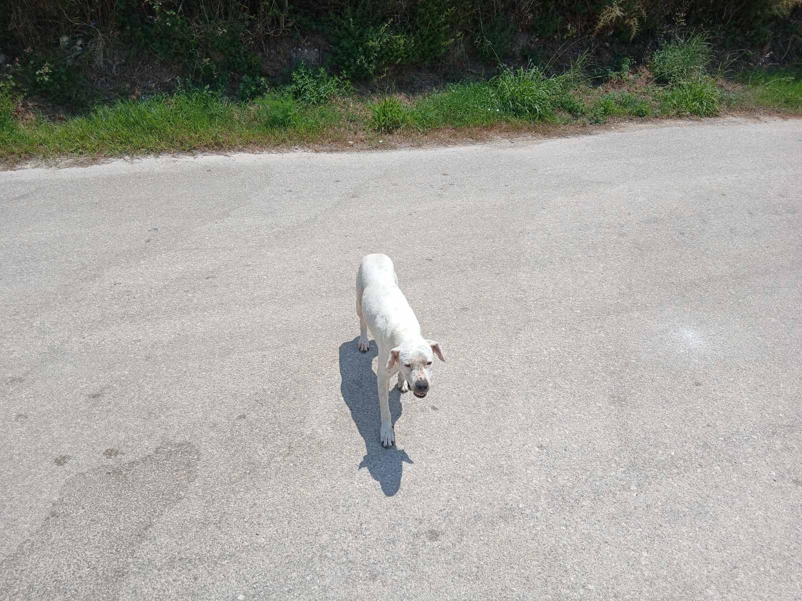 εικόνα Viber 2025 06 21 15 00 24 209