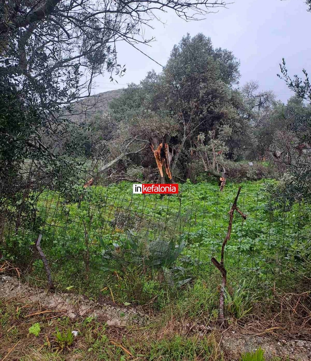 0b57a551 46ee 4d6e 9ba0 690156109a09