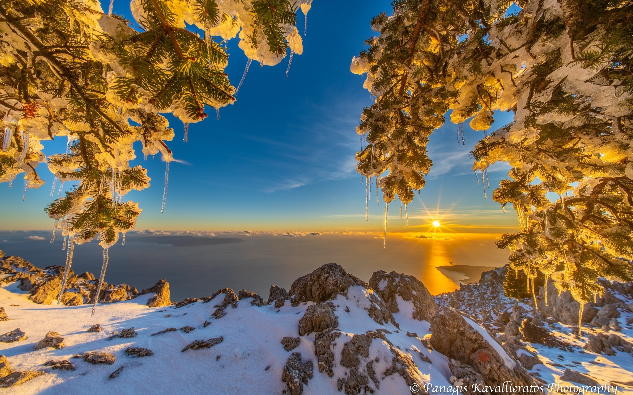 615692852 10237265967045865 1914215615919637921 n Cropped