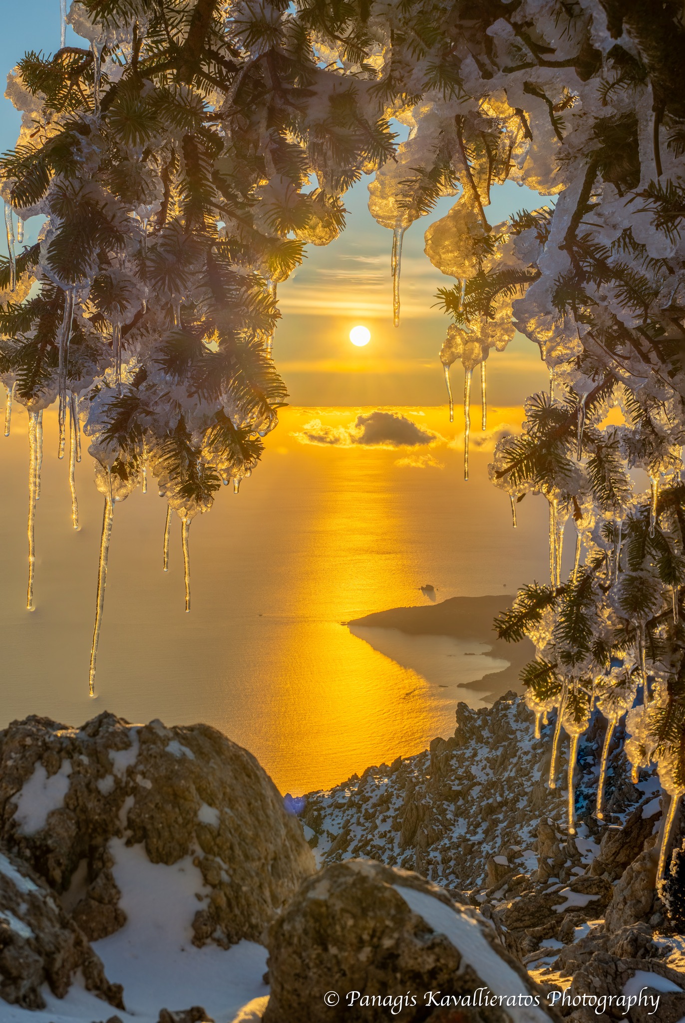 615698627 10237265972566003 5637917351881834089 n