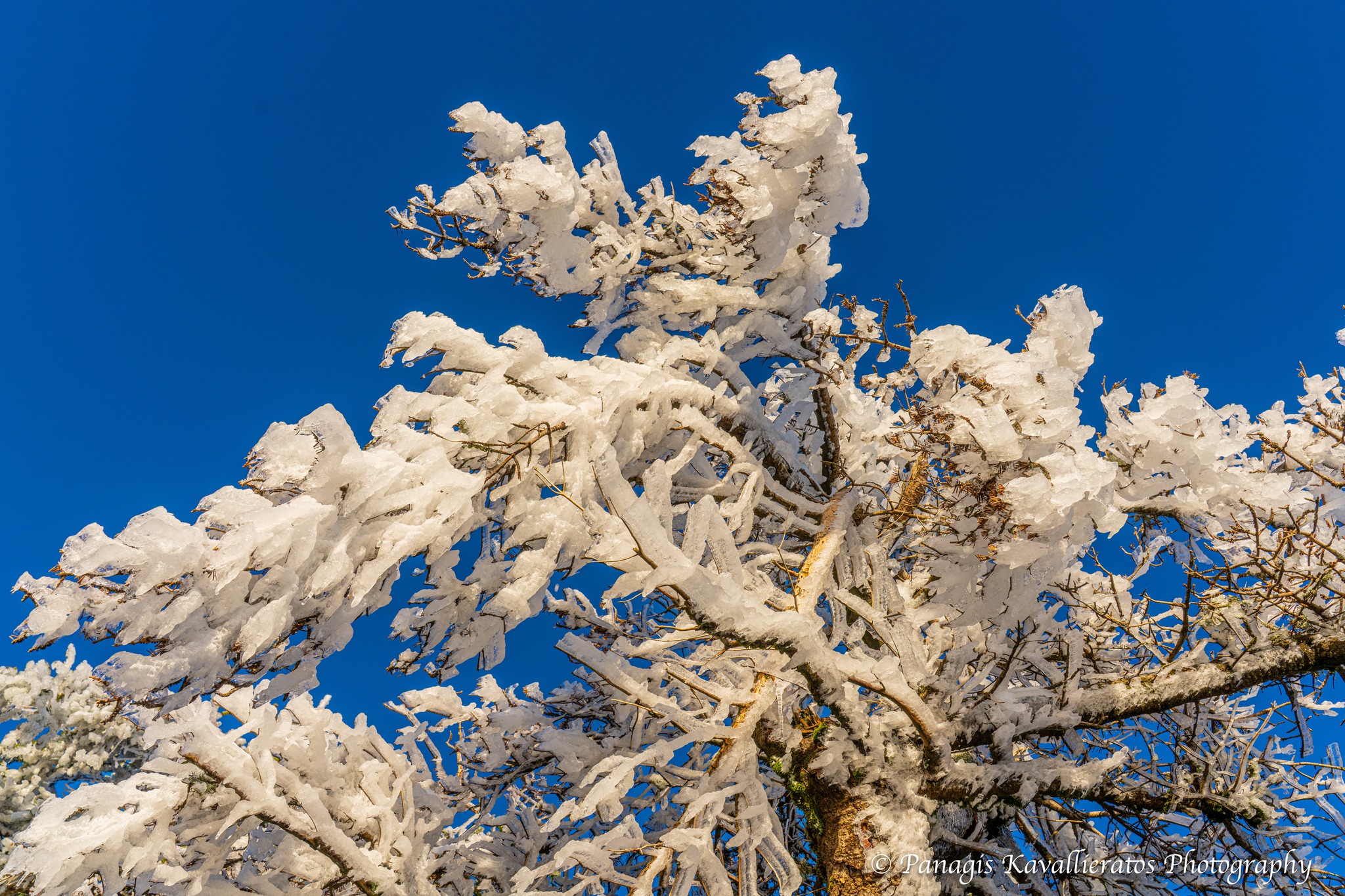 616029299 10237265953205519 4905581473286083342 n