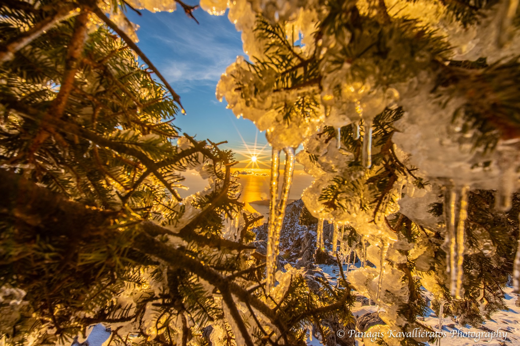 616152636 10237265940405199 313412880376584156 n