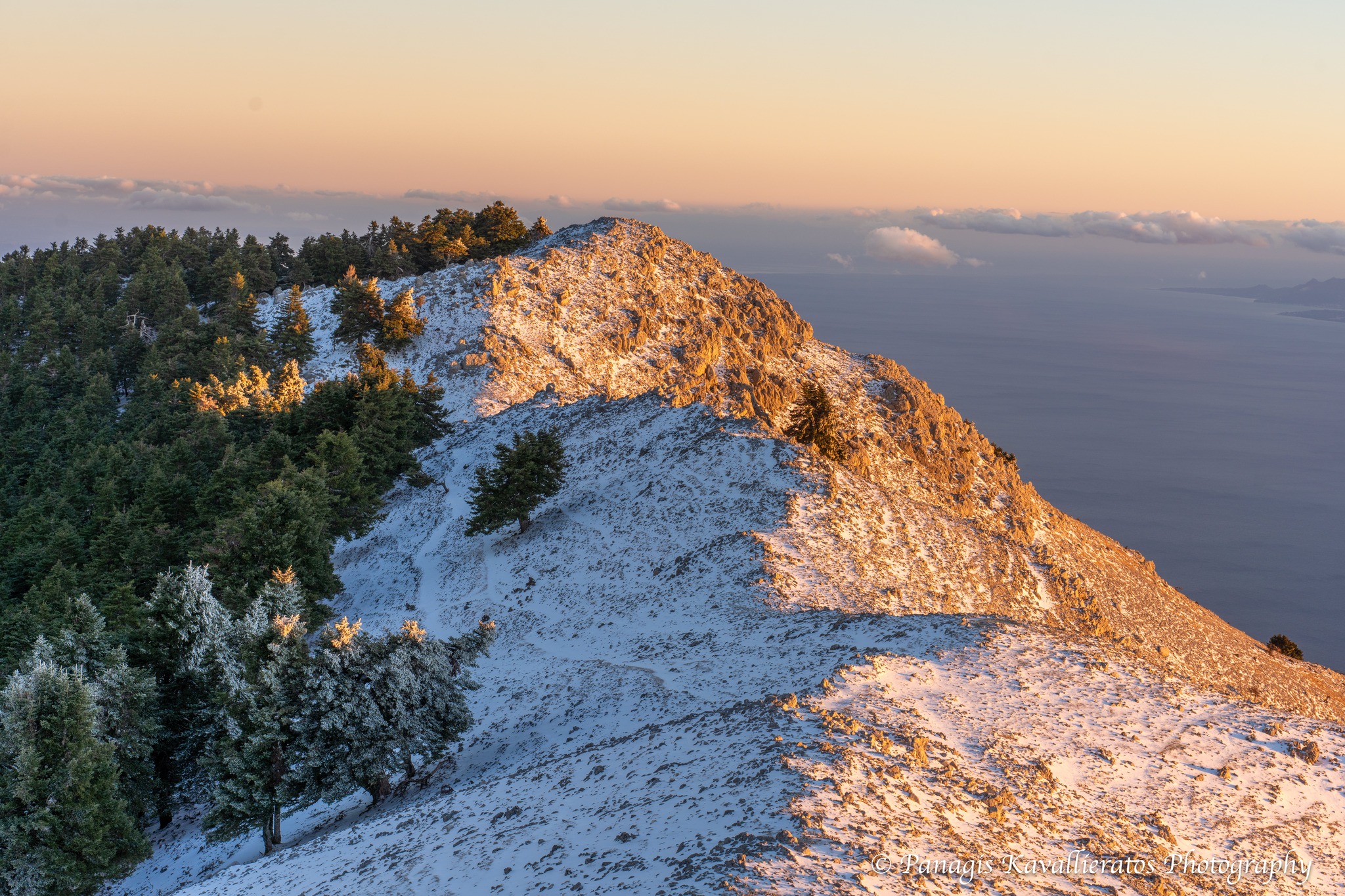 616193713 10237265976326097 7249365524597235190 n