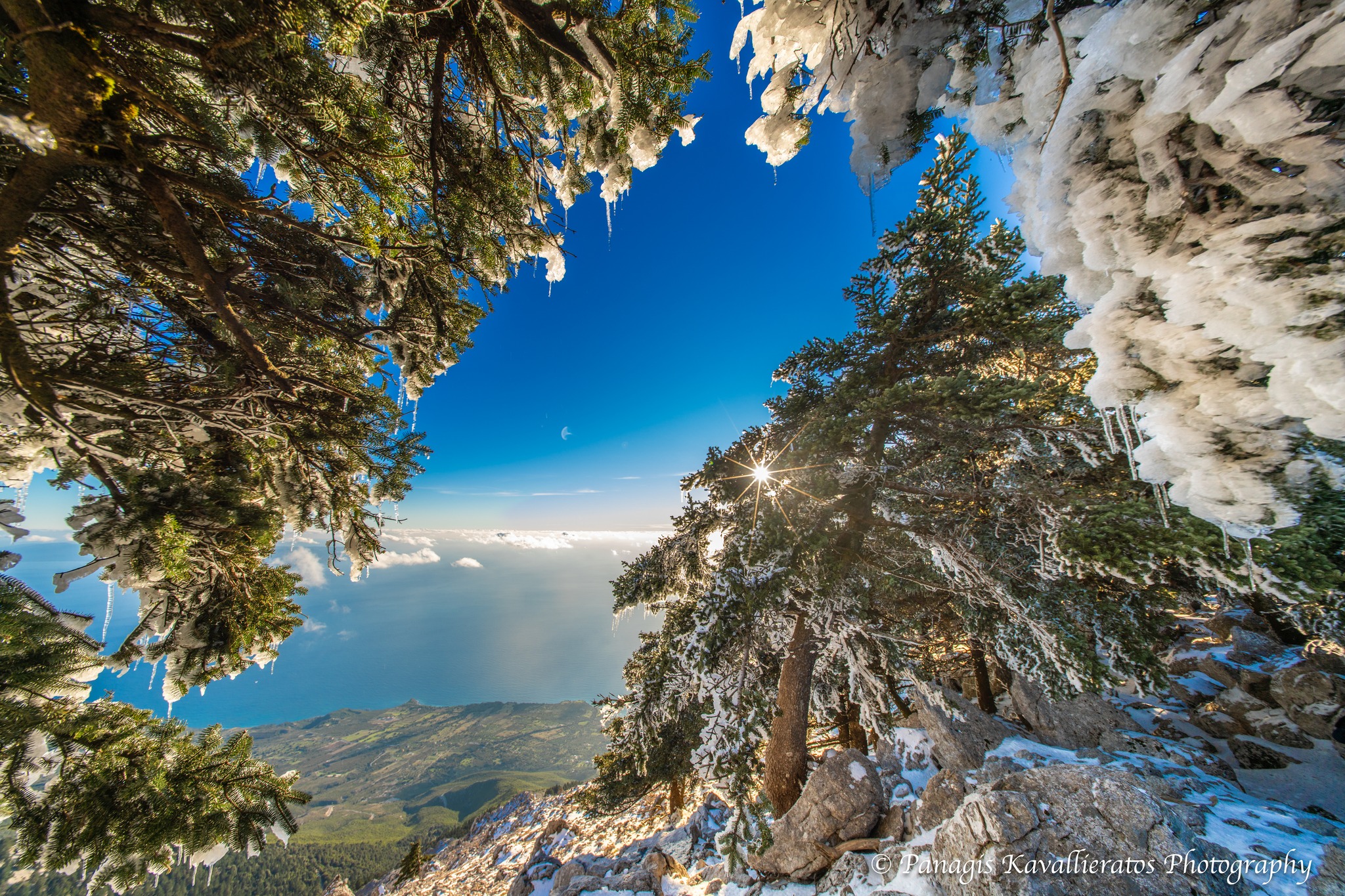 616598633 10237265964885811 2842736186418807830 n