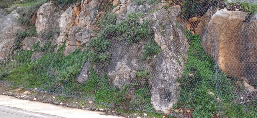 IMG 55f4b5f7a2d5fd324af49c122cecbbbc V