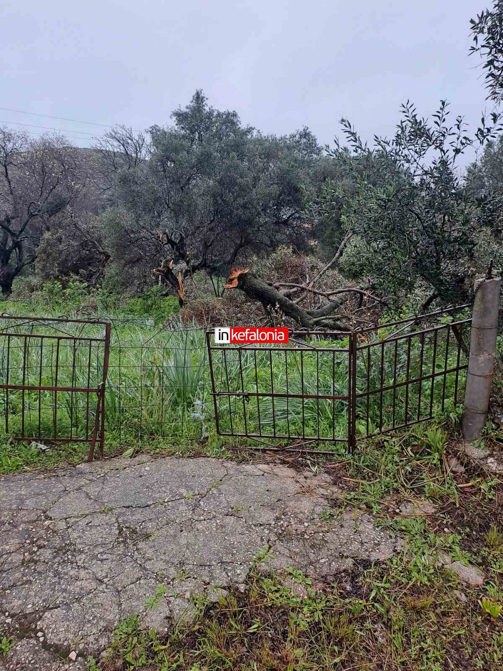 60b9381a 735f 452e ba70 29d8c4e795c4