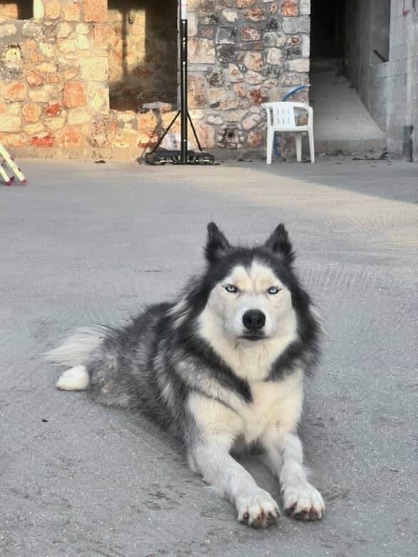 623166894 1868344590464225 2724359485199243079 n