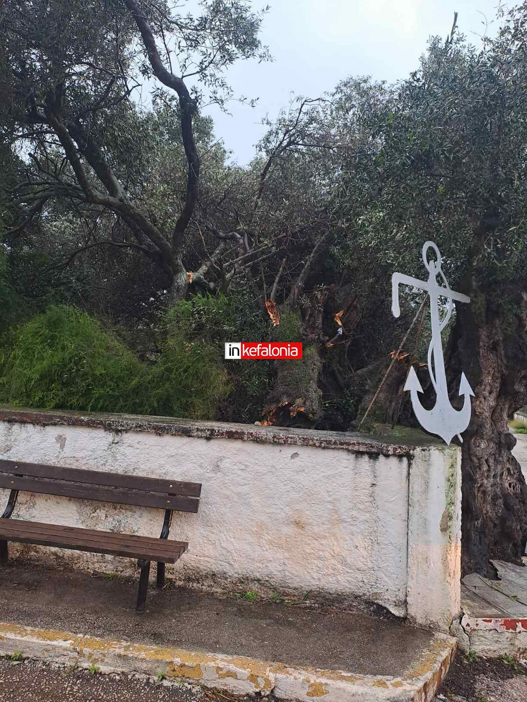 9bd26dac 76f9 4bec 8b4e 9294c7da2564