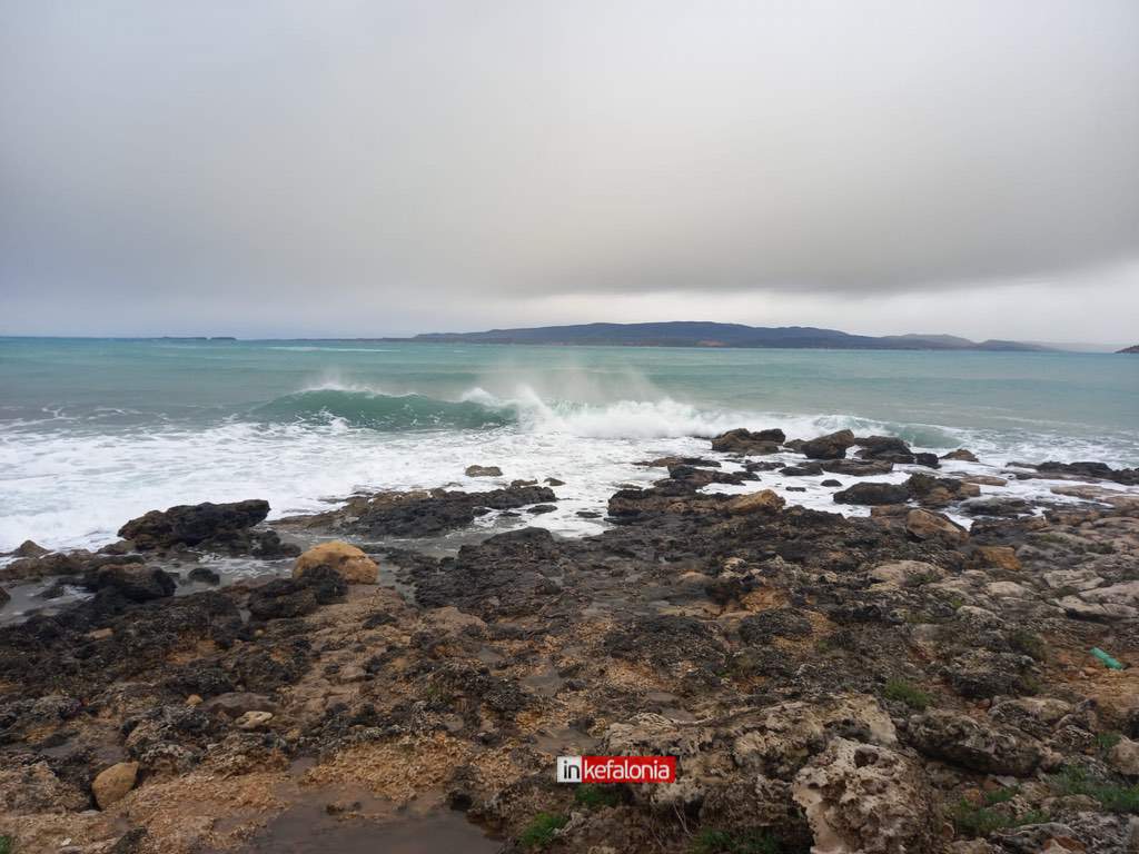 WhatsApp Image 2026 01 21 at 13.46.17 2