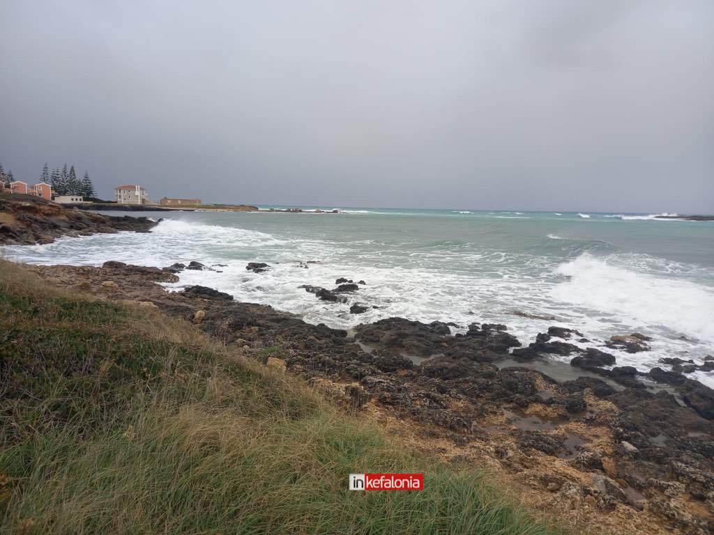 WhatsApp Image 2026 01 21 at 13.46.18 1