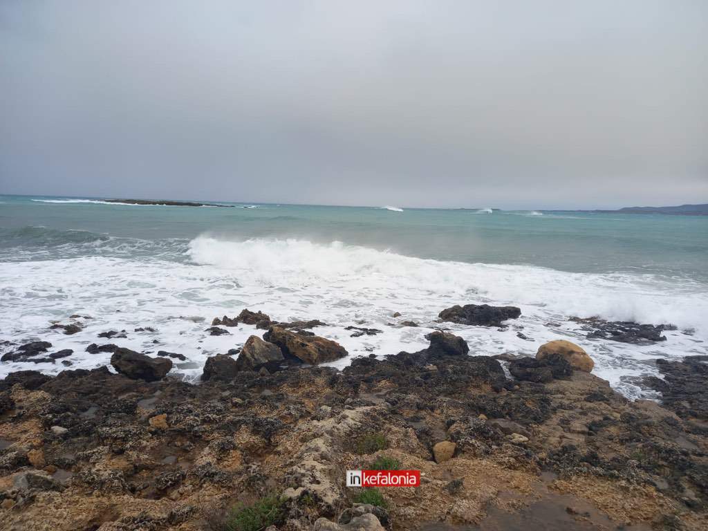 WhatsApp Image 2026 01 21 at 13.46.19