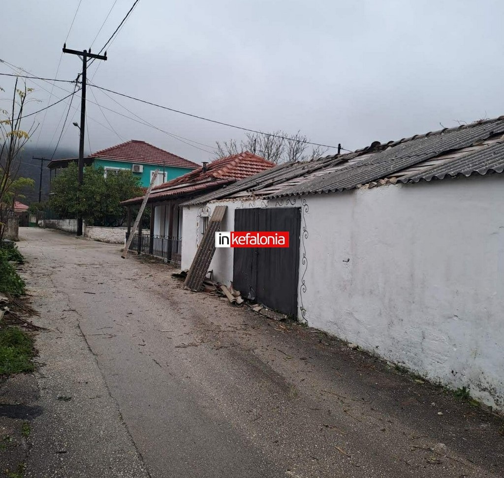 cee531a9 bfea 4b51 b56a 18dd4af1f473