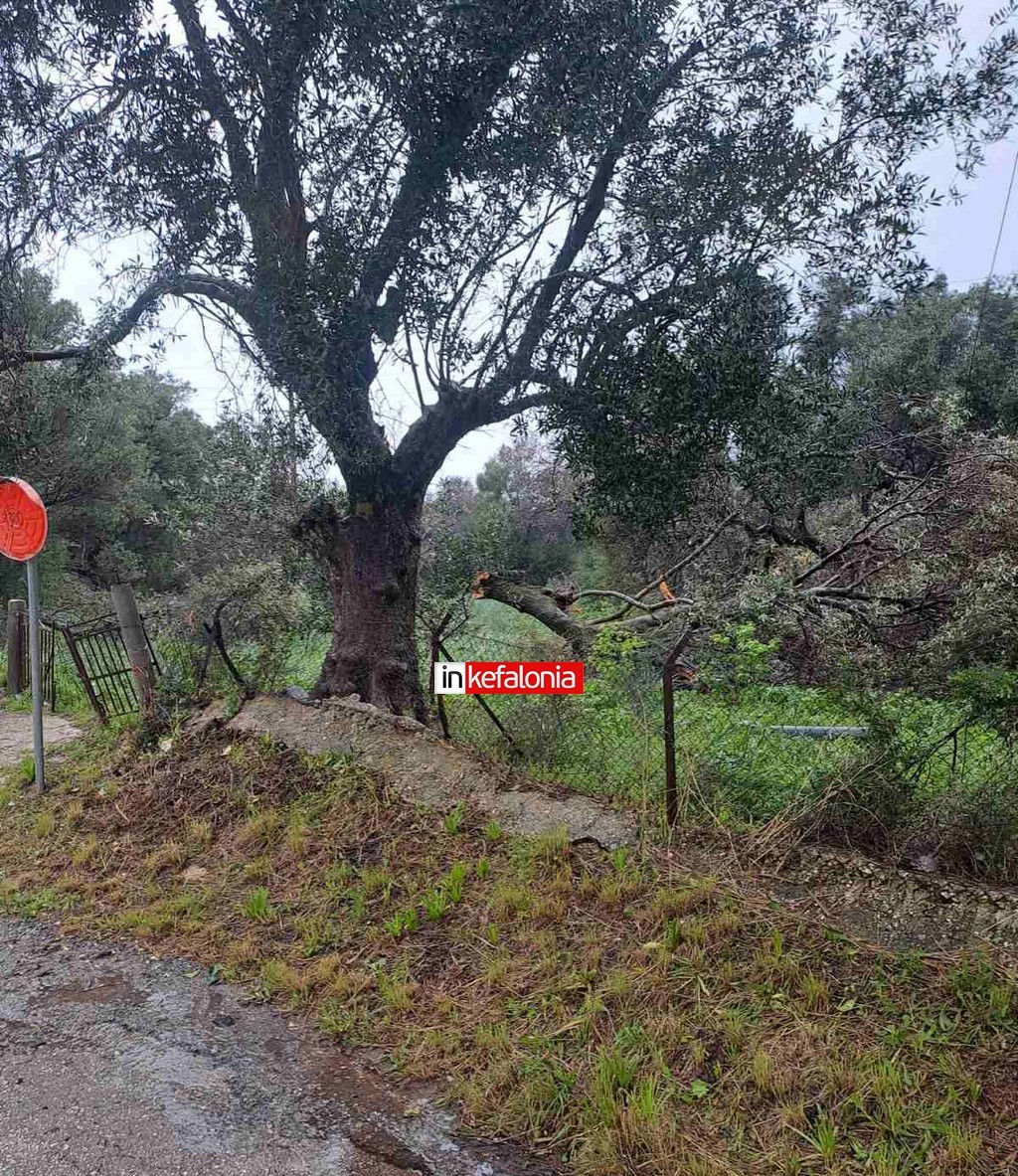 e3b2ef5a a9ae 4a91 994f 8fc801f359da