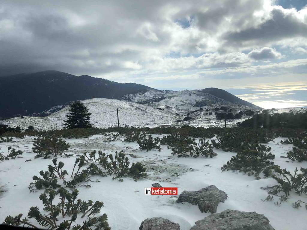 εικόνα Viber 2026 01 12 15 17 43 554