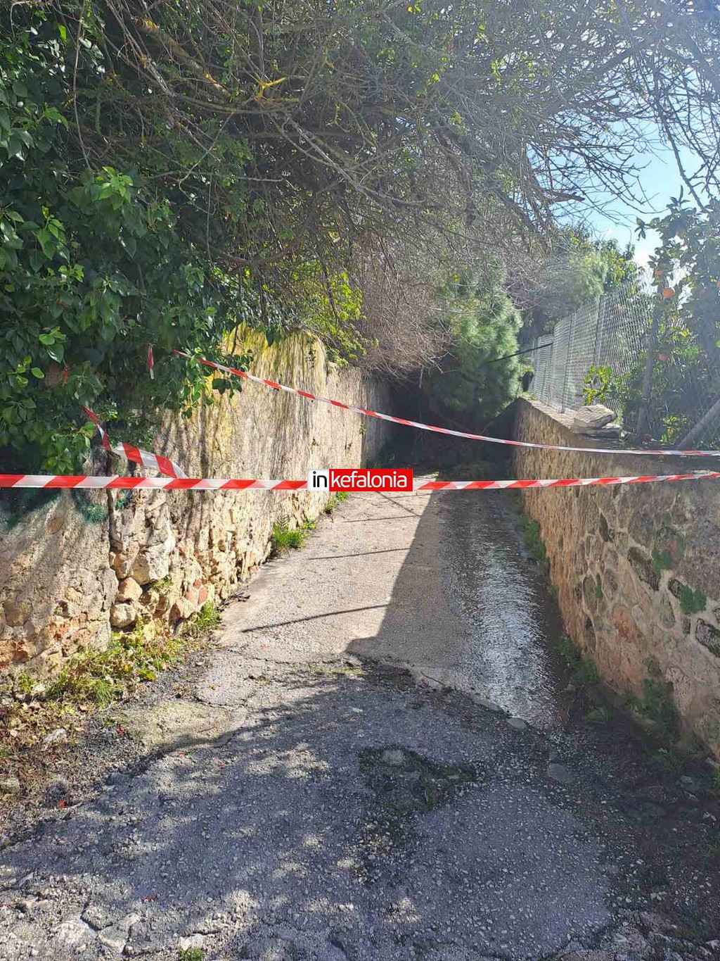 εικόνα Viber 2026 02 18 10 53 33 601