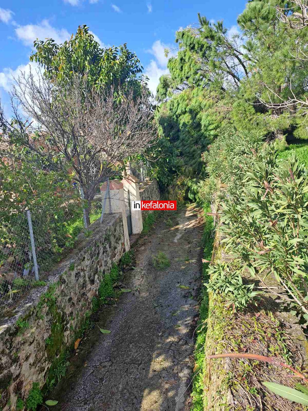 εικόνα Viber 2026 02 18 10 53 33 692