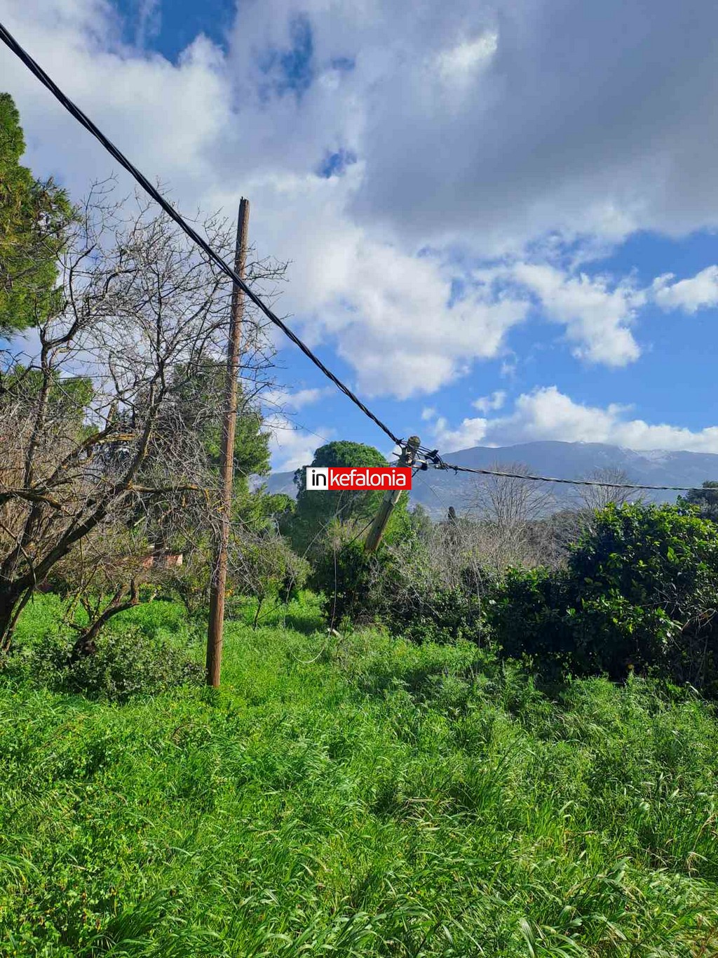 εικόνα Viber 2026 02 18 10 53 33 732